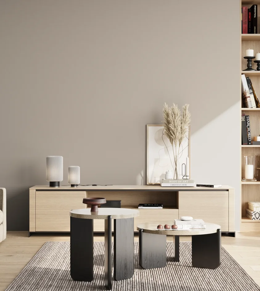 P10_SNIEZKA_salon_02_poludnie_GREY_S2502-Y50R