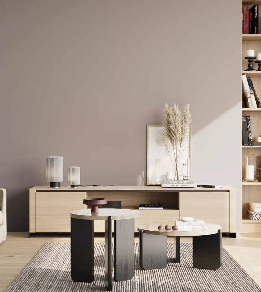 P10_SNIEZKA_salon_02_poludnie_GREY_S3005-R