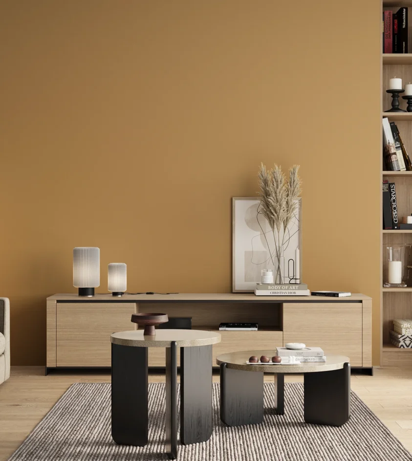 P10_SNIEZKA_salon_00_neutral_GREY_RAL1002