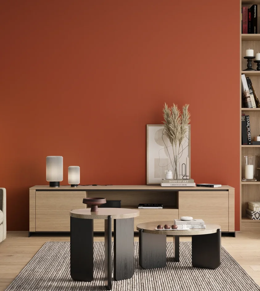 P10_SNIEZKA_salon_00_neutral_GREY_RAL2001