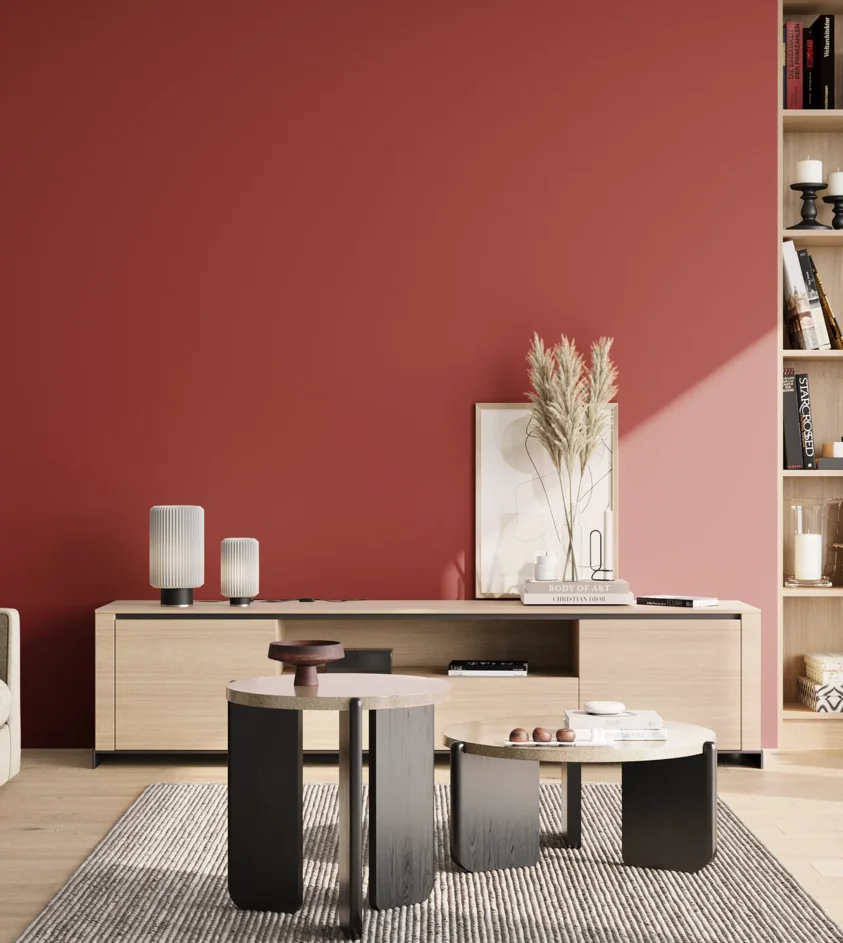 P10_SNIEZKA_salon_02_poludnie_GREY_RAL3001