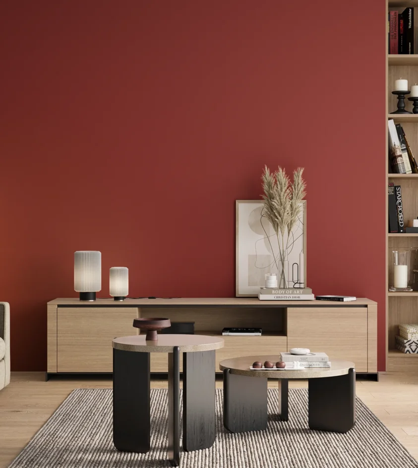 P10_SNIEZKA_salon_00_neutral_GREY_RAL3002