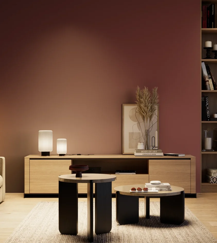 P10_SNIEZKA_salon_04_cieple_GREY_RAL3004