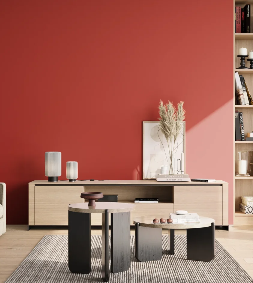 P10_SNIEZKA_salon_02_poludnie_GREY_RAL3020