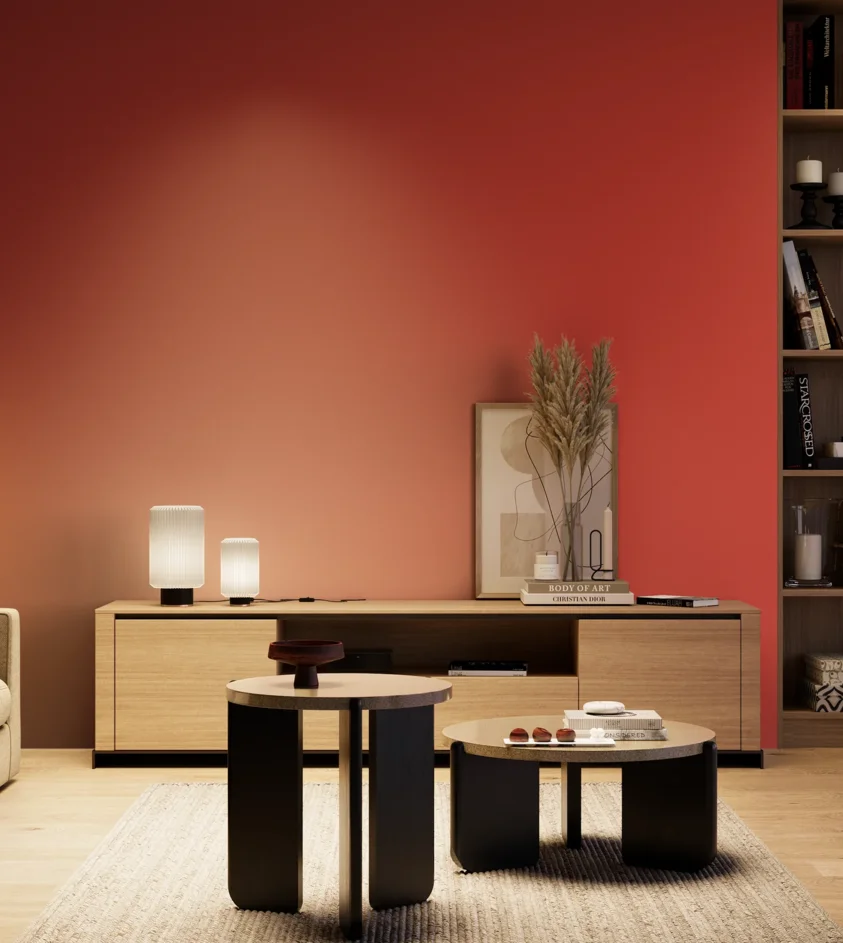 P10_SNIEZKA_salon_04_cieple_GREY_RAL3028
