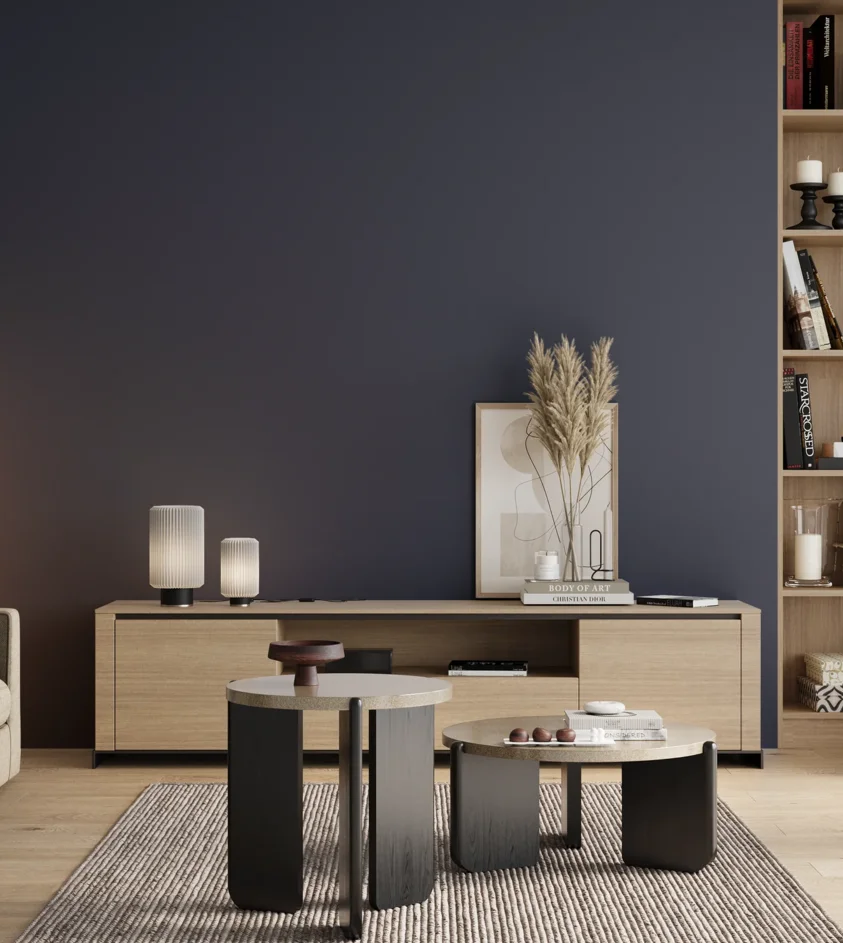 P10_SNIEZKA_salon_00_neutral_GREY_RAL5013
