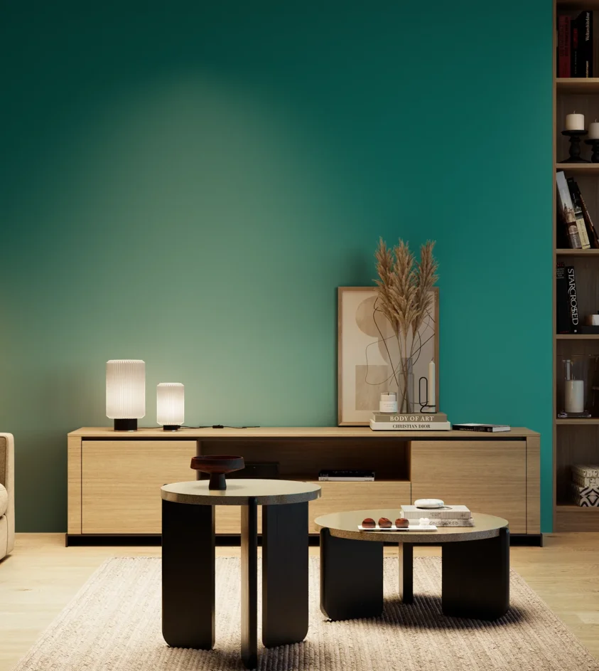 P10_SNIEZKA_salon_04_cieple_GREY_RAL5021