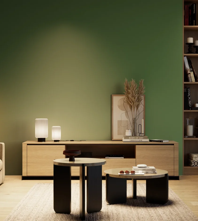 P10_SNIEZKA_salon_04_cieple_GREY_RAL6001