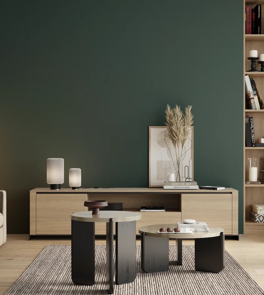 P10_SNIEZKA_salon_00_neutral_GREY_RAL6004
