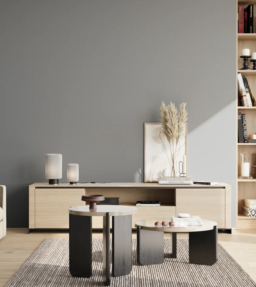P10_SNIEZKA_salon_02_poludnie_GREY_RAL7001