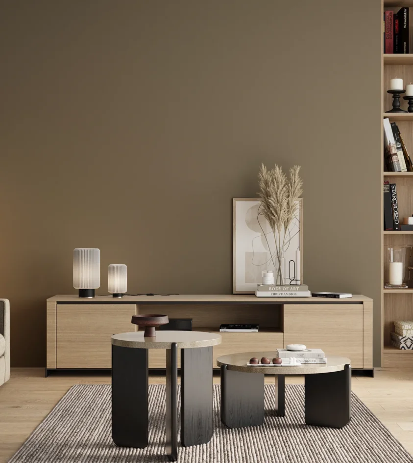 P10_SNIEZKA_salon_00_neutral_GREY_RAL7002
