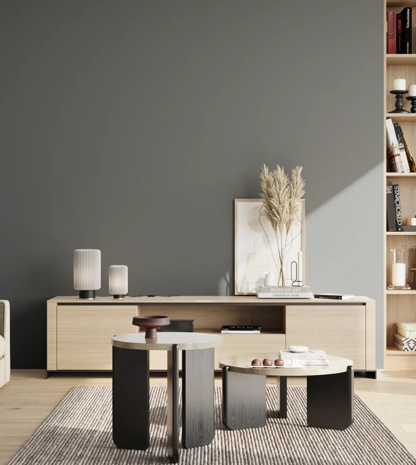 P10_SNIEZKA_salon_02_poludnie_GREY_RAL7031