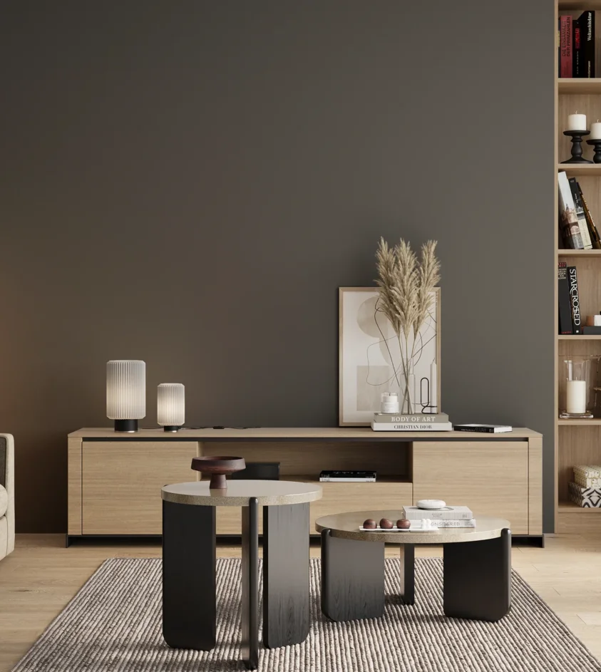 P10_SNIEZKA_salon_00_neutral_GREY_RAL7043