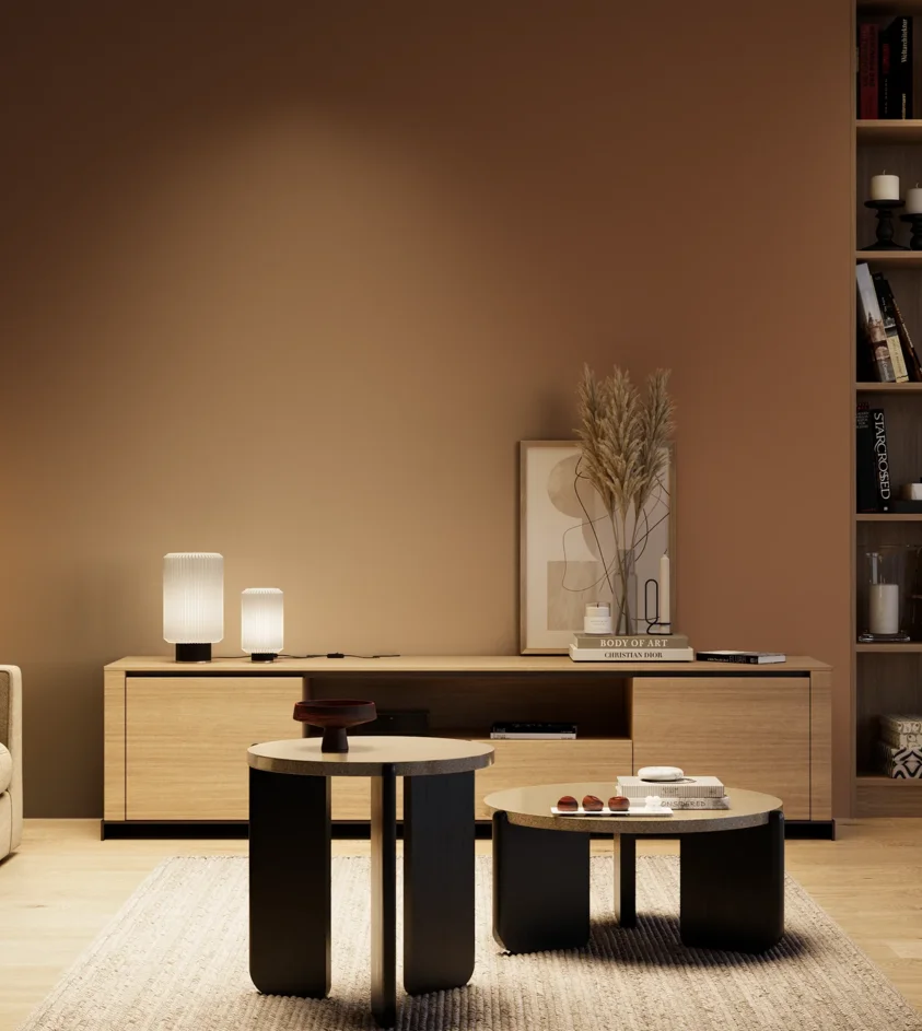 P10_SNIEZKA_salon_04_cieple_GREY_RAL8003
