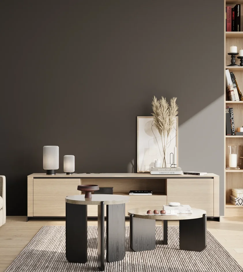 P10_SNIEZKA_salon_02_poludnie_GREY_RAL9011