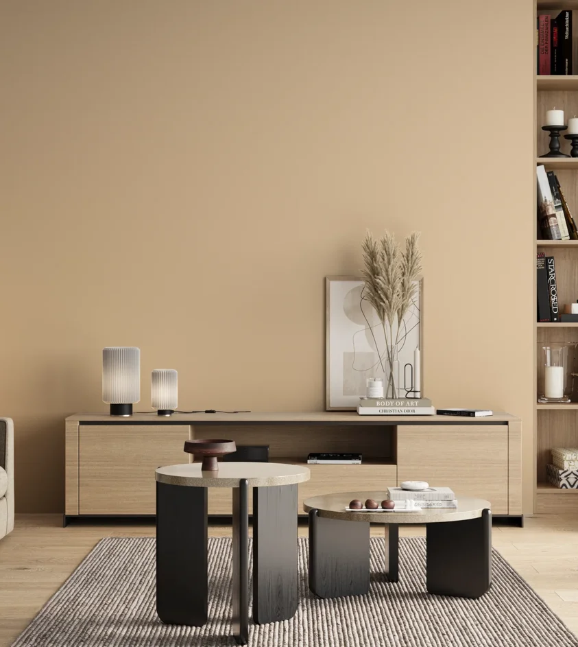P10_SNIEZKA_salon_00_neutral_GREY_C5