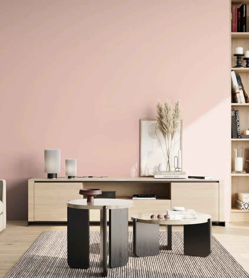 P10_SNIEZKA_salon_02_poludnie_GREY_C33
