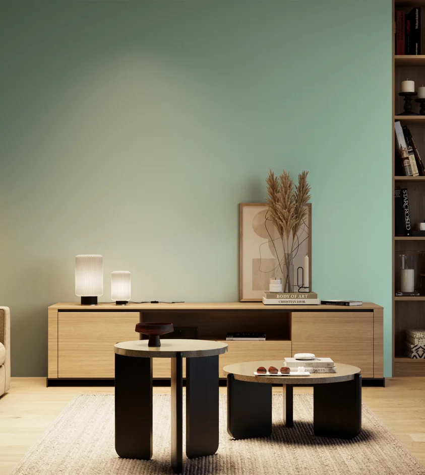 P10_SNIEZKA_salon_04_cieple_GREY_C38