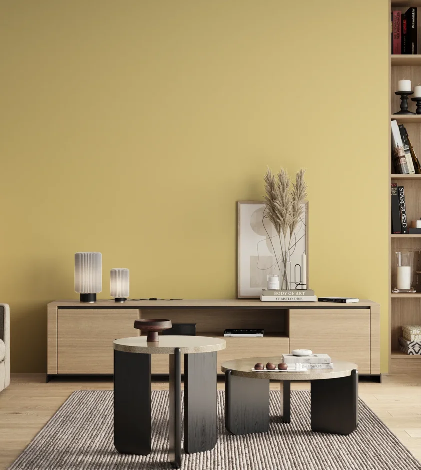 P10_SNIEZKA_salon_00_neutral_GREY_C51