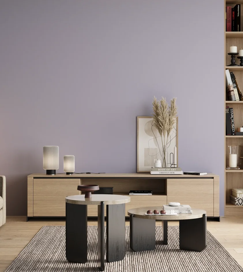 P10_SNIEZKA_salon_00_neutral_GREY_C65