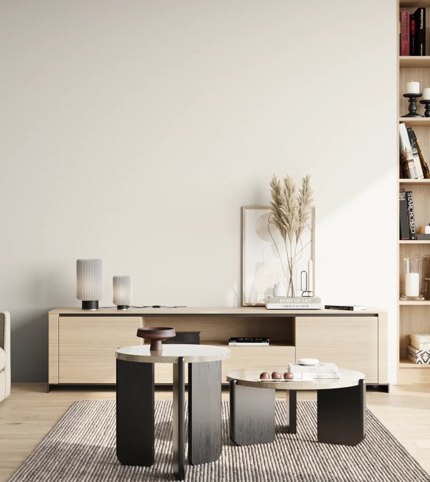 P10_SNIEZKA_salon_02_poludnie_GREY_C77