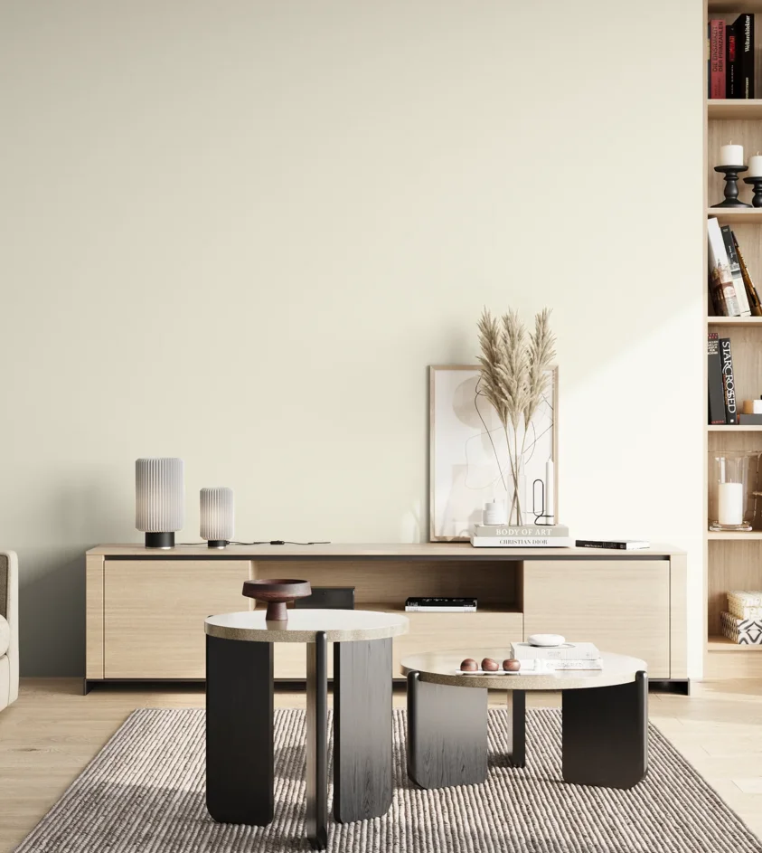 P10_SNIEZKA_salon_02_poludnie_GREY_EM01
