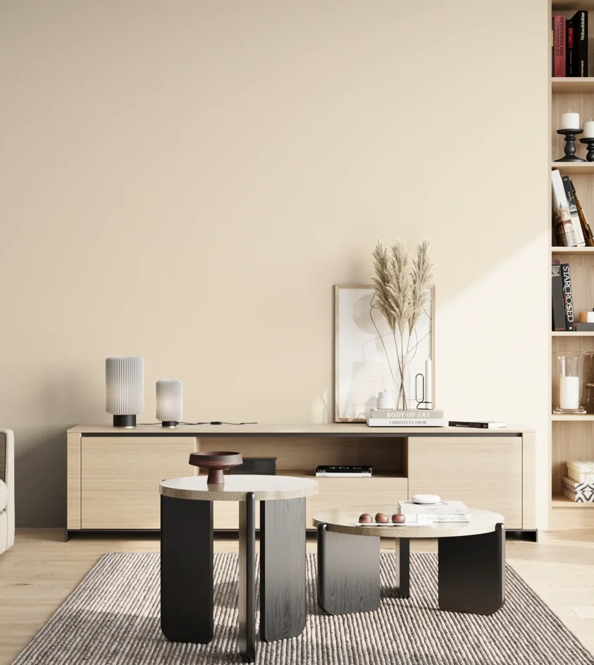 P10_SNIEZKA_salon_02_poludnie_GREY_MP22