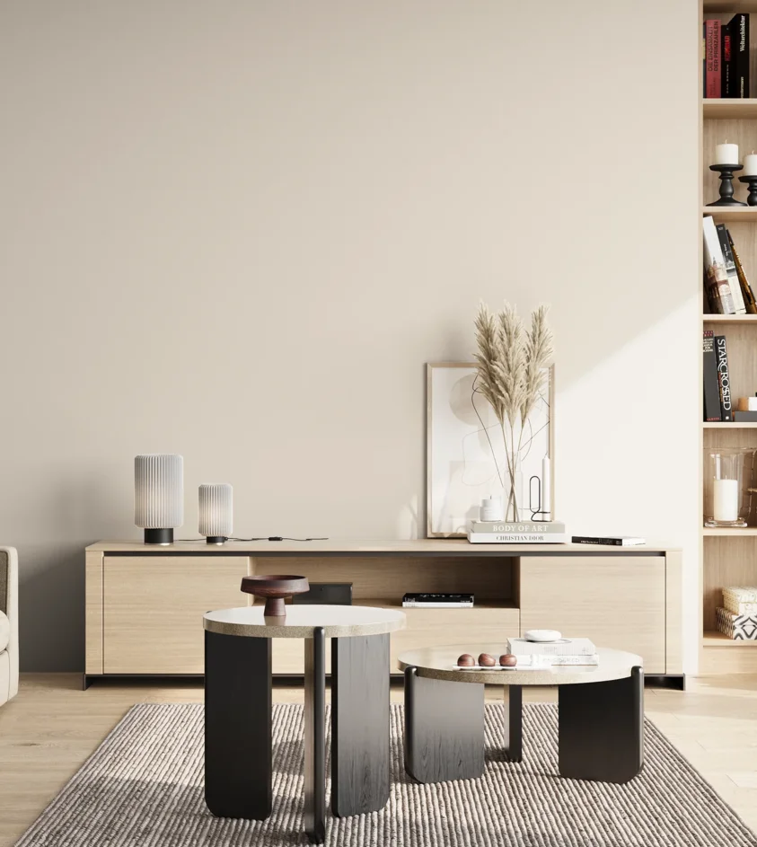P10_SNIEZKA_salon_02_poludnie_GREY_S0502-Y50R