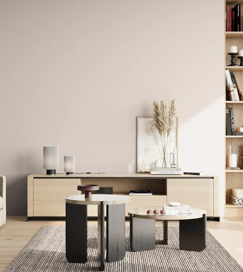 P10_SNIEZKA_salon_02_poludnie_GREY_S0505-R