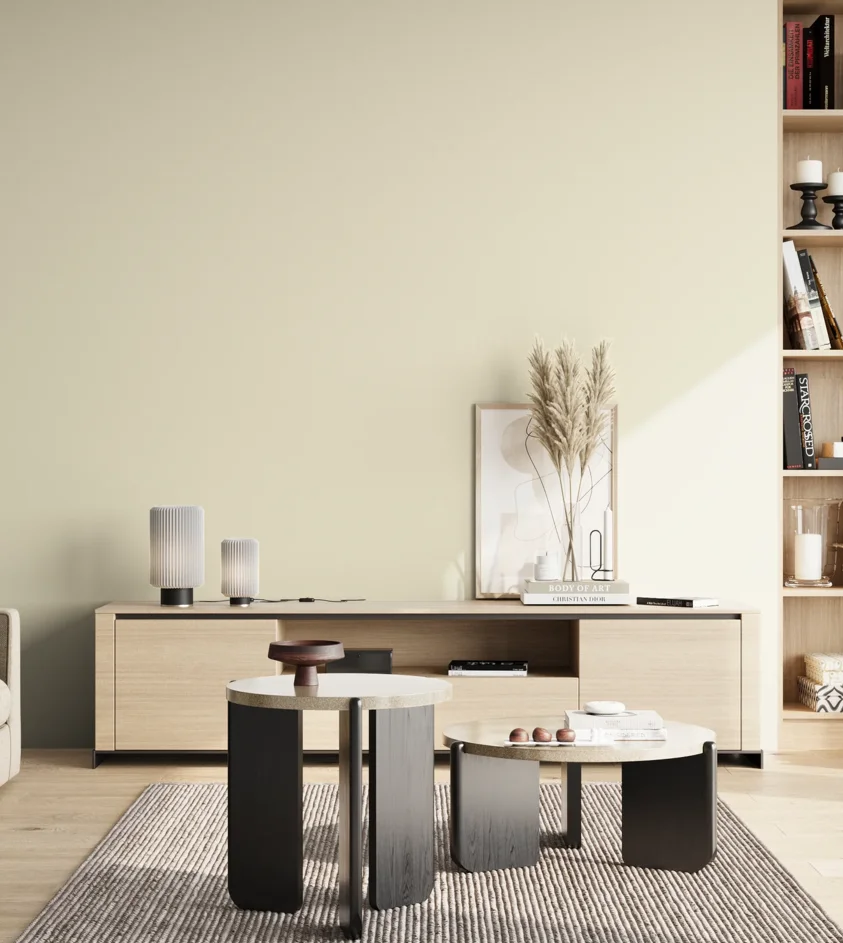 P10_SNIEZKA_salon_02_poludnie_GREY_S0505-Y