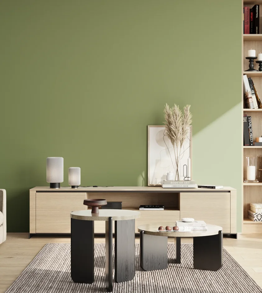 P10_SNIEZKA_salon_02_poludnie_GREY_S3030-G40Y