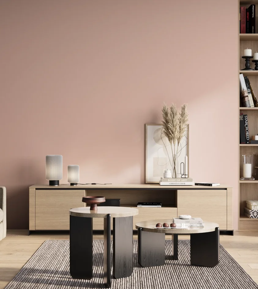 P10_SNIEZKA_salon_01_poranek_GREY_S0515-Y90R