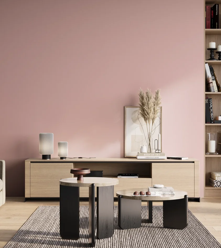 P10_SNIEZKA_salon_01_poranek_GREY_S0520-R10B