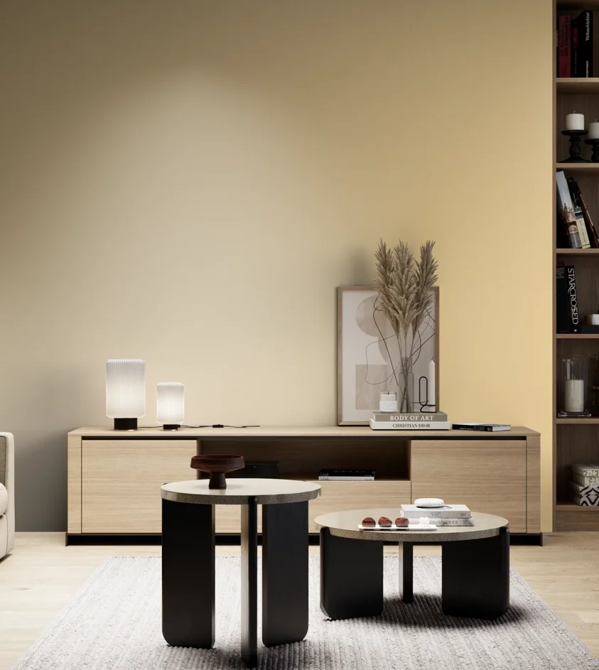 P10_SNIEZKA_salon_05_zimne_GREY_S0520-Y20R