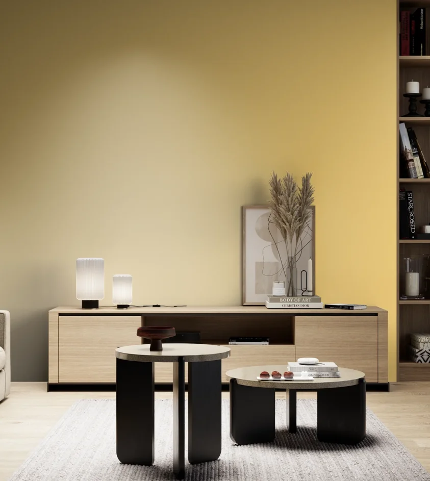 P10_SNIEZKA_salon_05_zimne_GREY_S0540-Y10R
