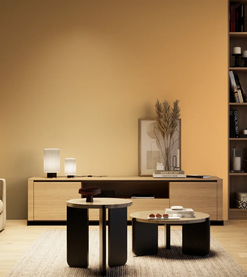 P10_SNIEZKA_salon_04_cieple_GREY_S0540-Y30R