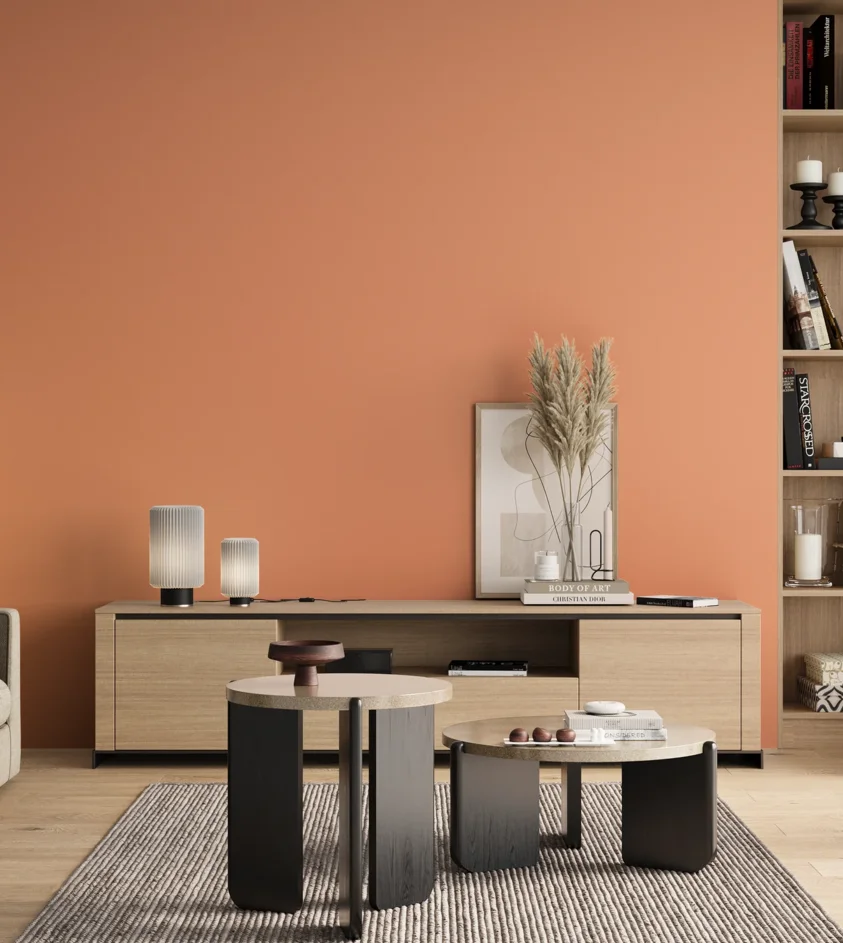 P10_SNIEZKA_salon_00_neutral_GREY_S0540-Y60R