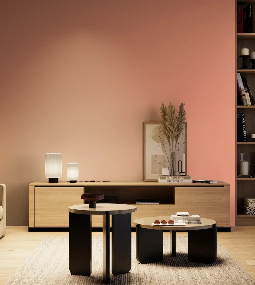 P10_SNIEZKA_salon_04_cieple_GREY_S0540-Y80R