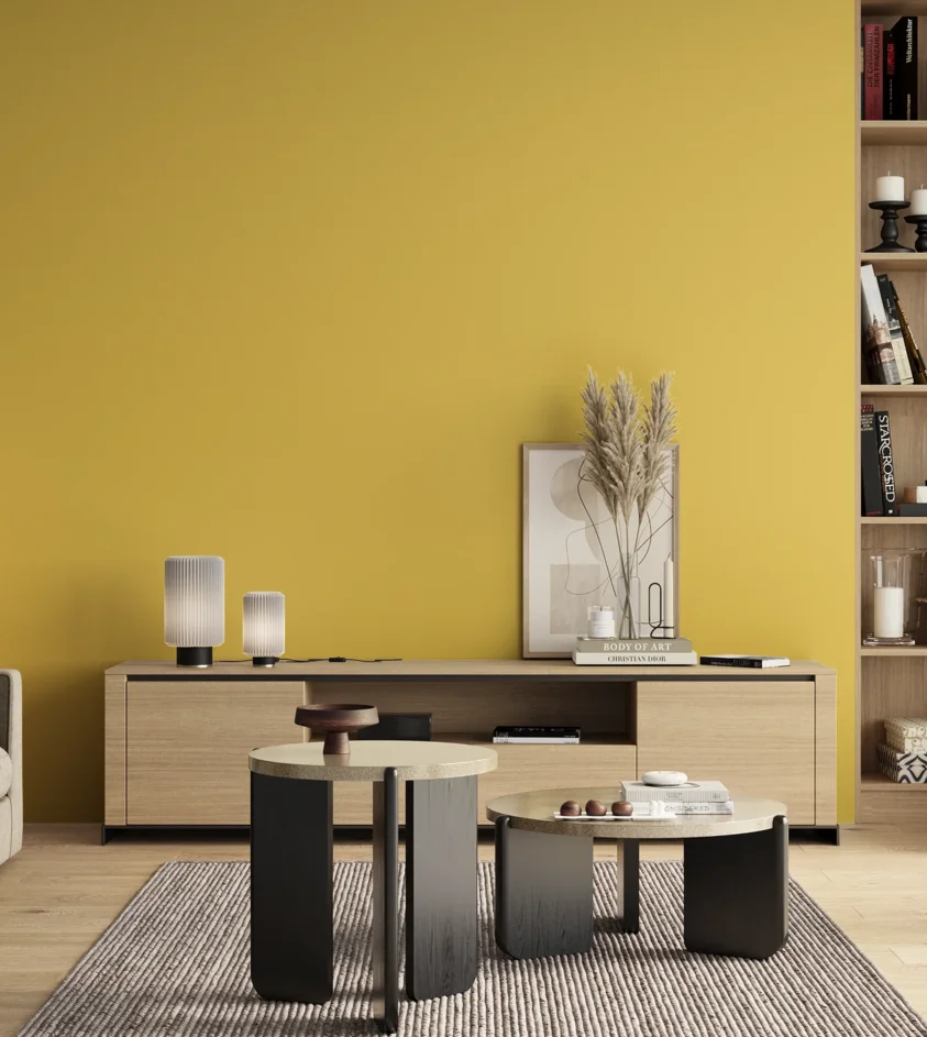 P10_SNIEZKA_salon_00_neutral_GREY_S0550-Y