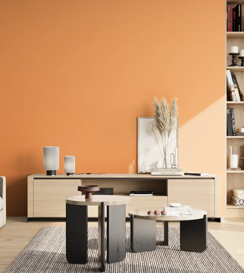 P10_SNIEZKA_salon_02_poludnie_GREY_S0550-Y40R