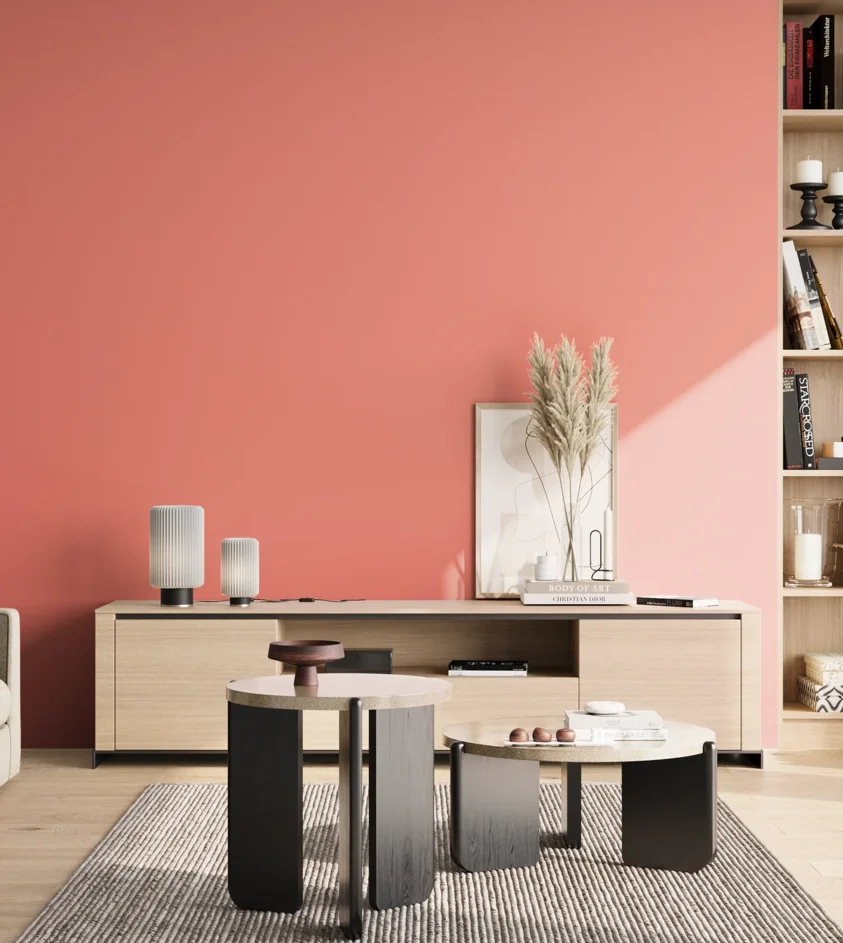 P10_SNIEZKA_salon_02_poludnie_GREY_S0550-Y90R