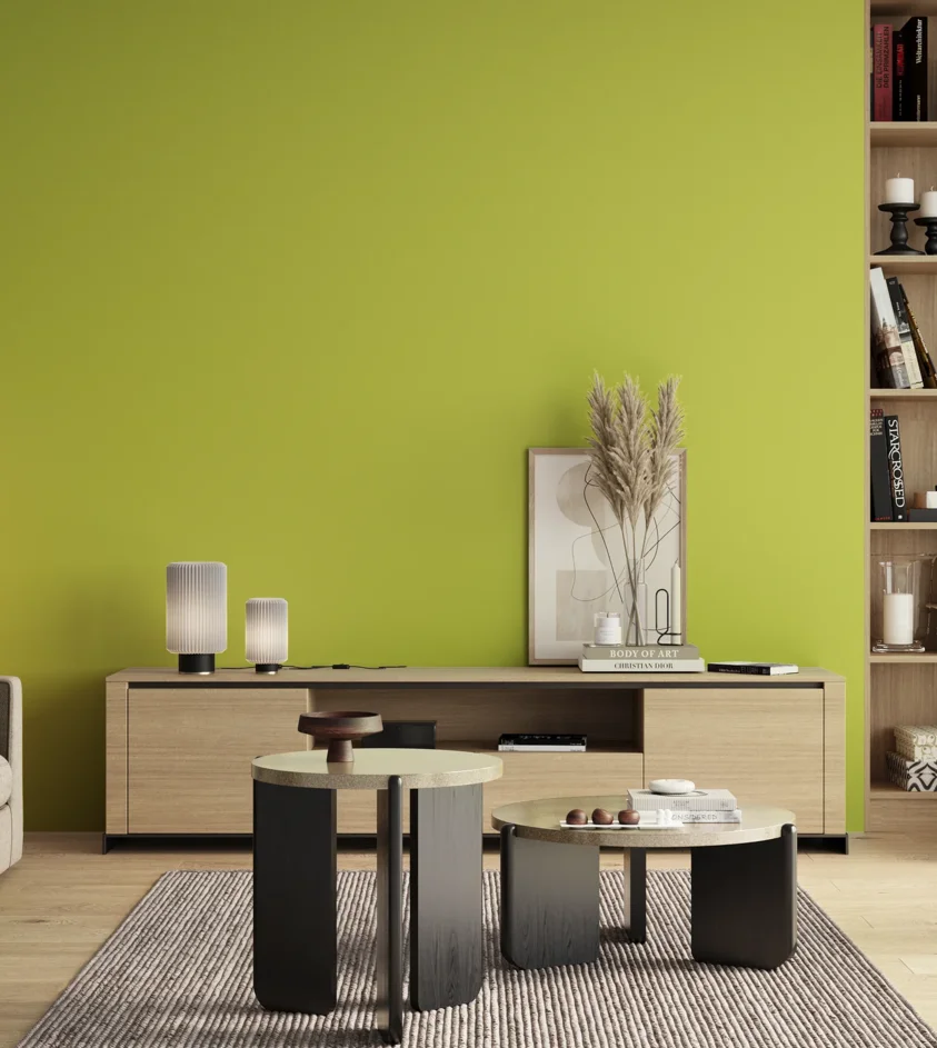 P10_SNIEZKA_salon_00_neutral_GREY_S0560-G60Y