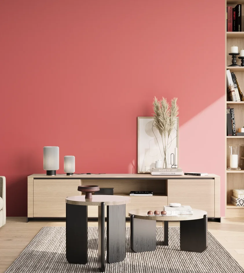 P10_SNIEZKA_salon_02_poludnie_GREY_S0560-R
