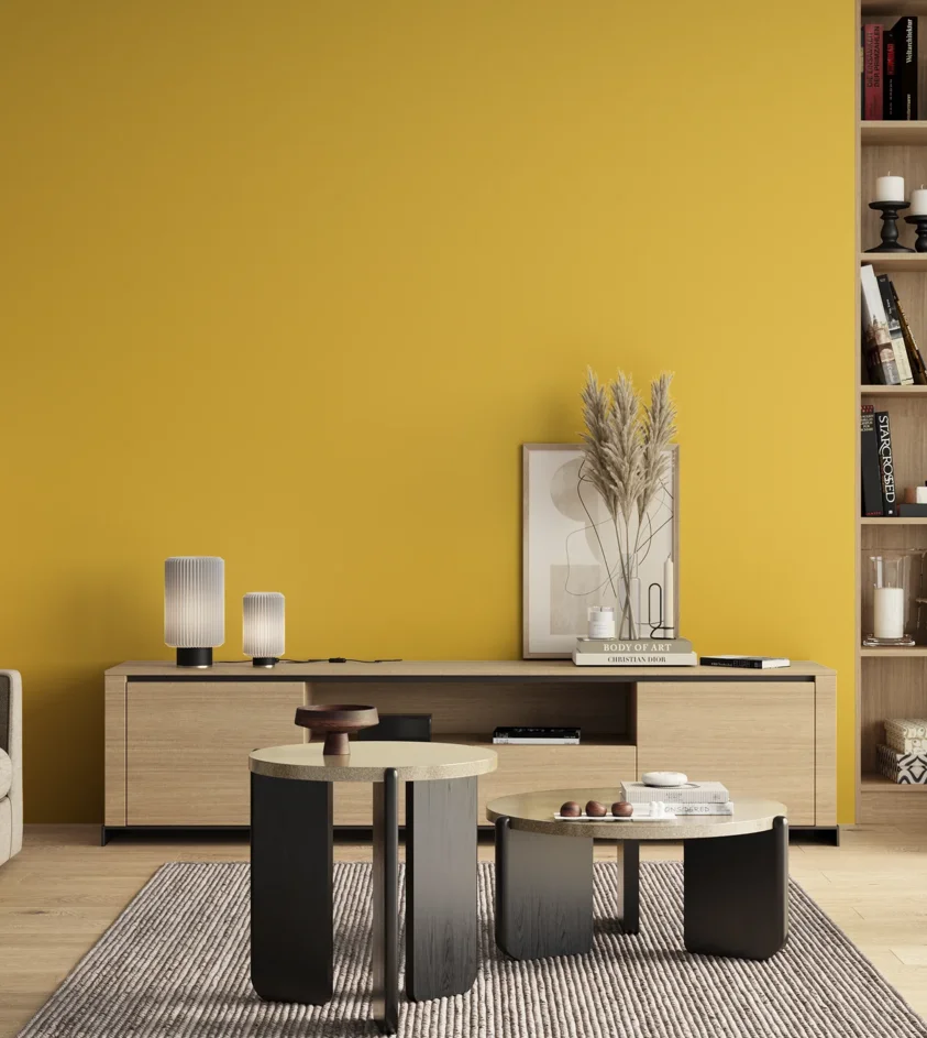 P10_SNIEZKA_salon_00_neutral_GREY_S0560-Y