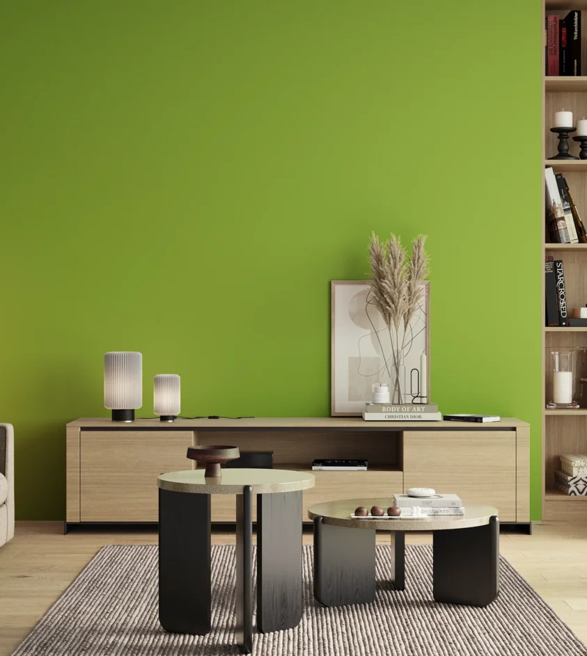 P10_SNIEZKA_salon_00_neutral_GREY_S0570-G40Y