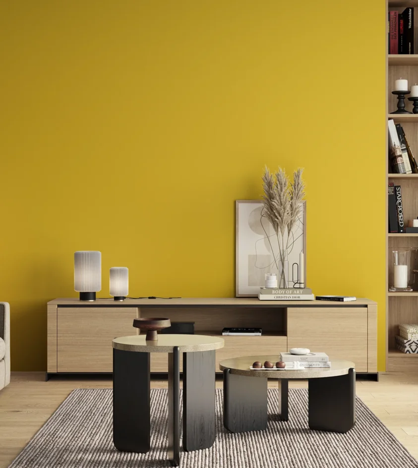 P10_SNIEZKA_salon_00_neutral_GREY_S0570-Y