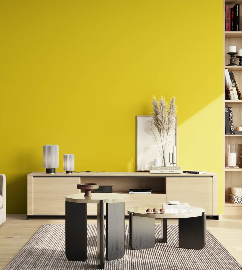 P10_SNIEZKA_salon_02_poludnie_GREY_S0575-G90Y