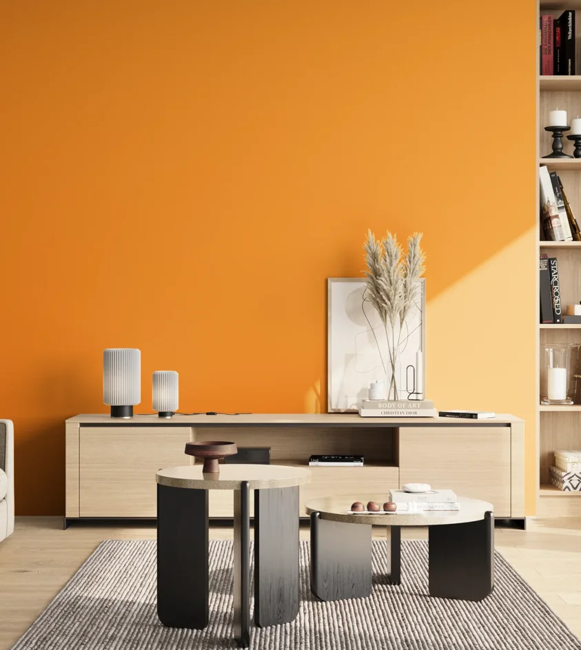 P10_SNIEZKA_salon_02_poludnie_GREY_S0580-Y30R