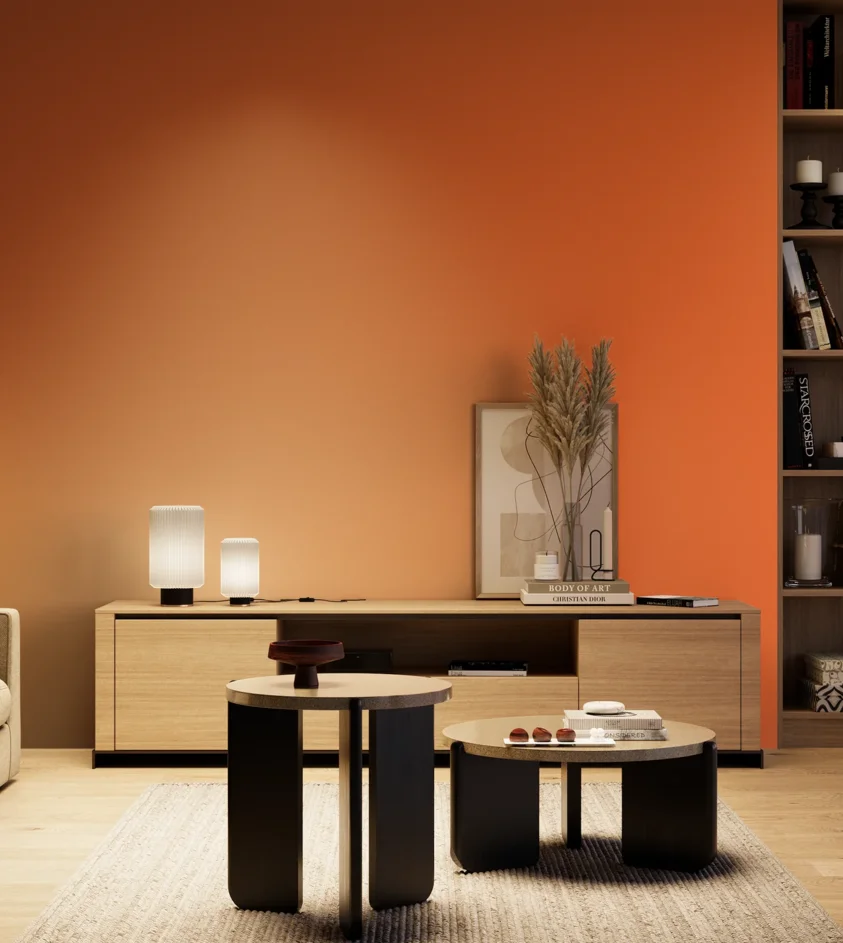 P10_SNIEZKA_salon_04_cieple_GREY_S0580-Y60R