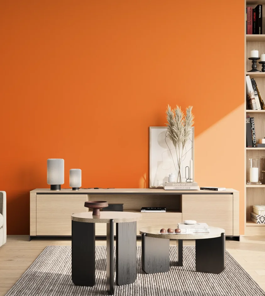P10_SNIEZKA_salon_02_poludnie_GREY_S0585-Y50R